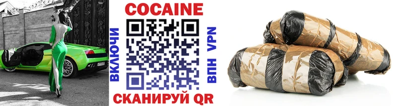 купить наркоту  Кимры  Cocaine Fish Scale 