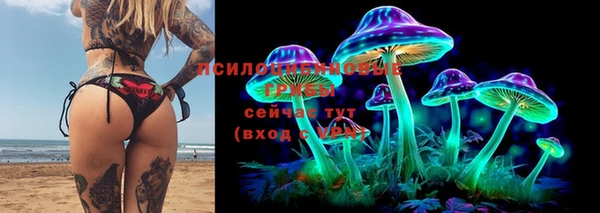 мет Осинники