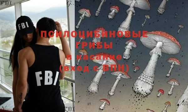 прущая мука Пестово