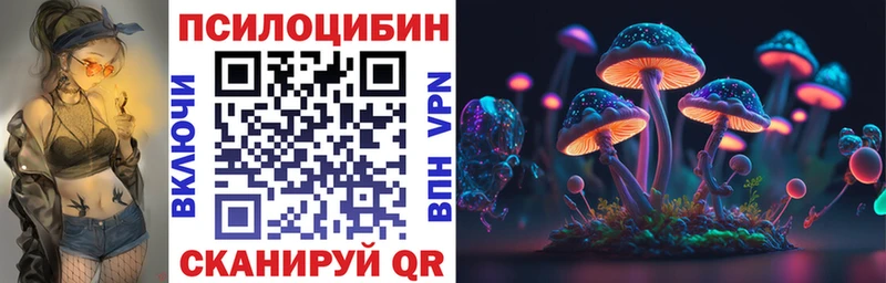 Псилоцибиновые грибы Psilocybine cubensis Кимры