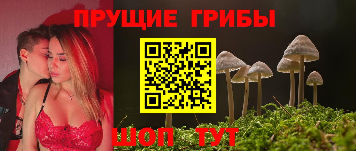 что такое наркотик  Псилоцибиновые грибы GOLDEN TEACHER  Кимры  Вход с VPN  Псилоцибиновые грибы ЛСД 
