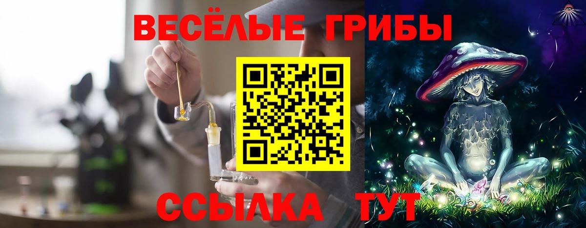 Галлюциногенные грибы мицелий Кимры