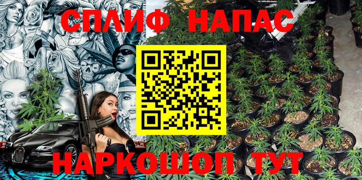 Каннабис тримм  Канабис план  Кимры  Каннабис MAZAR 